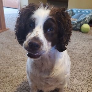 Meet your Posher, Zoe